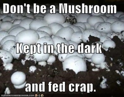 dont-be-a-mushroom-kept-in-the-dark-and-fed-crap